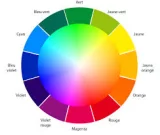 La couleur dans l’expression artistique 1. De la controverse dessin/couleur à propos du "paragone" sculpture/peinture au 15ème siècle à Florence et Venise à la valeur expressive de la couleur dans l'art moderne du début du 20ème siècle